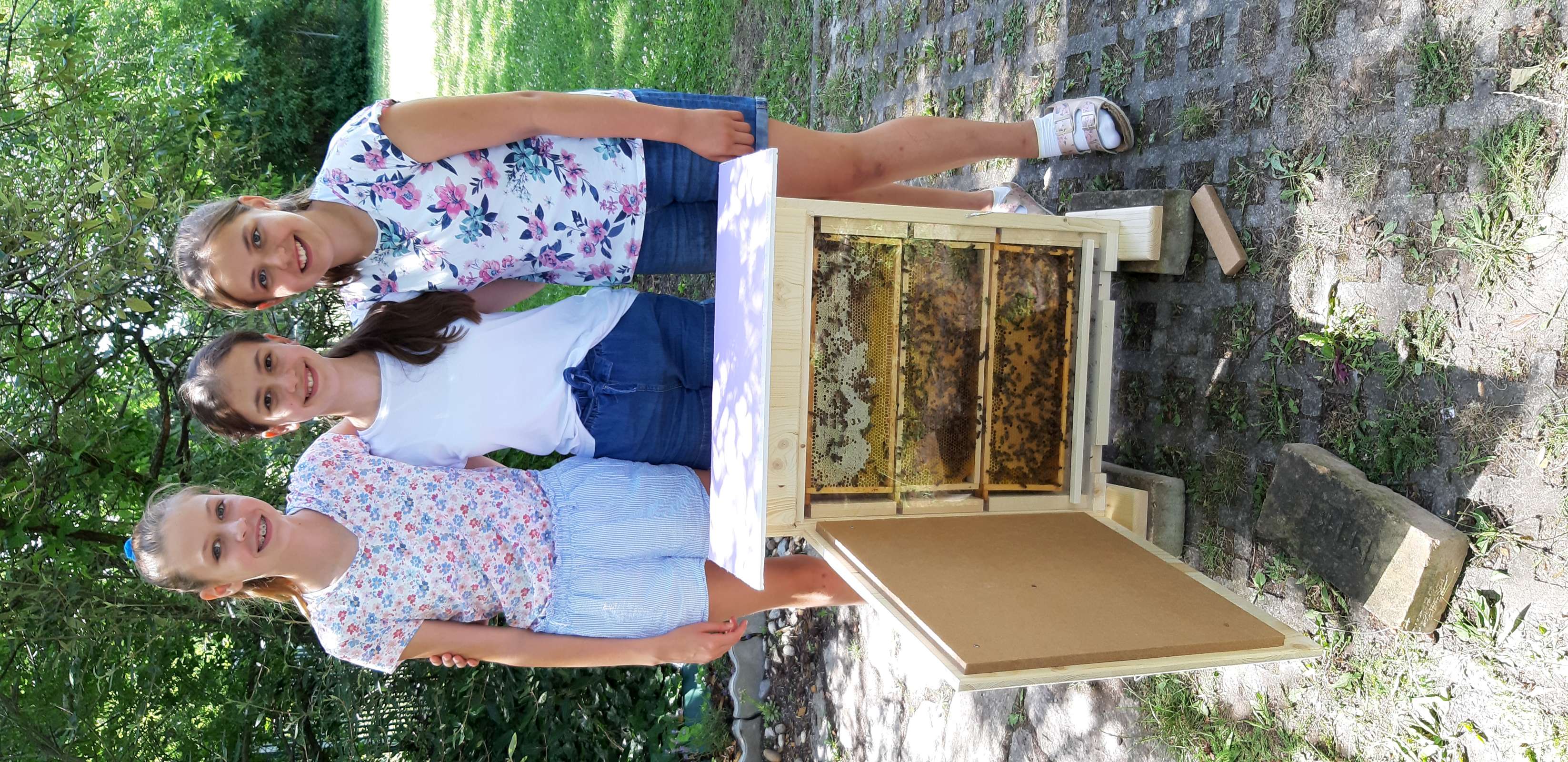 Projekt „Von den Bienen“